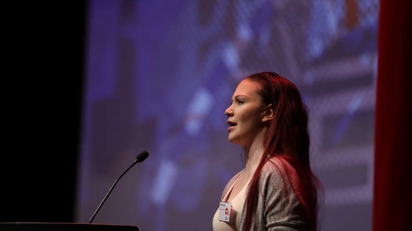 Dama fra Hallingdal, blir nasjonal tillitsvalgt i nei-bevegelsen