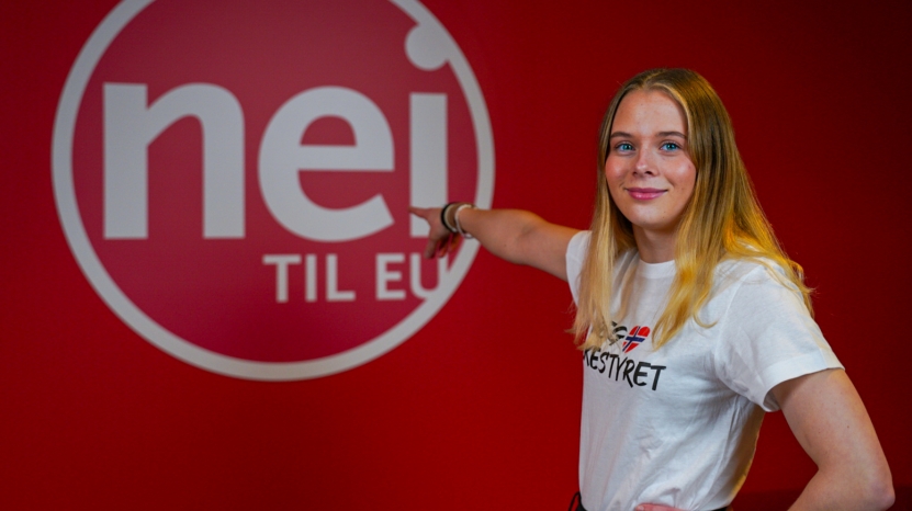 Valgt inn i nasjonal valgkomité i Nei til EU