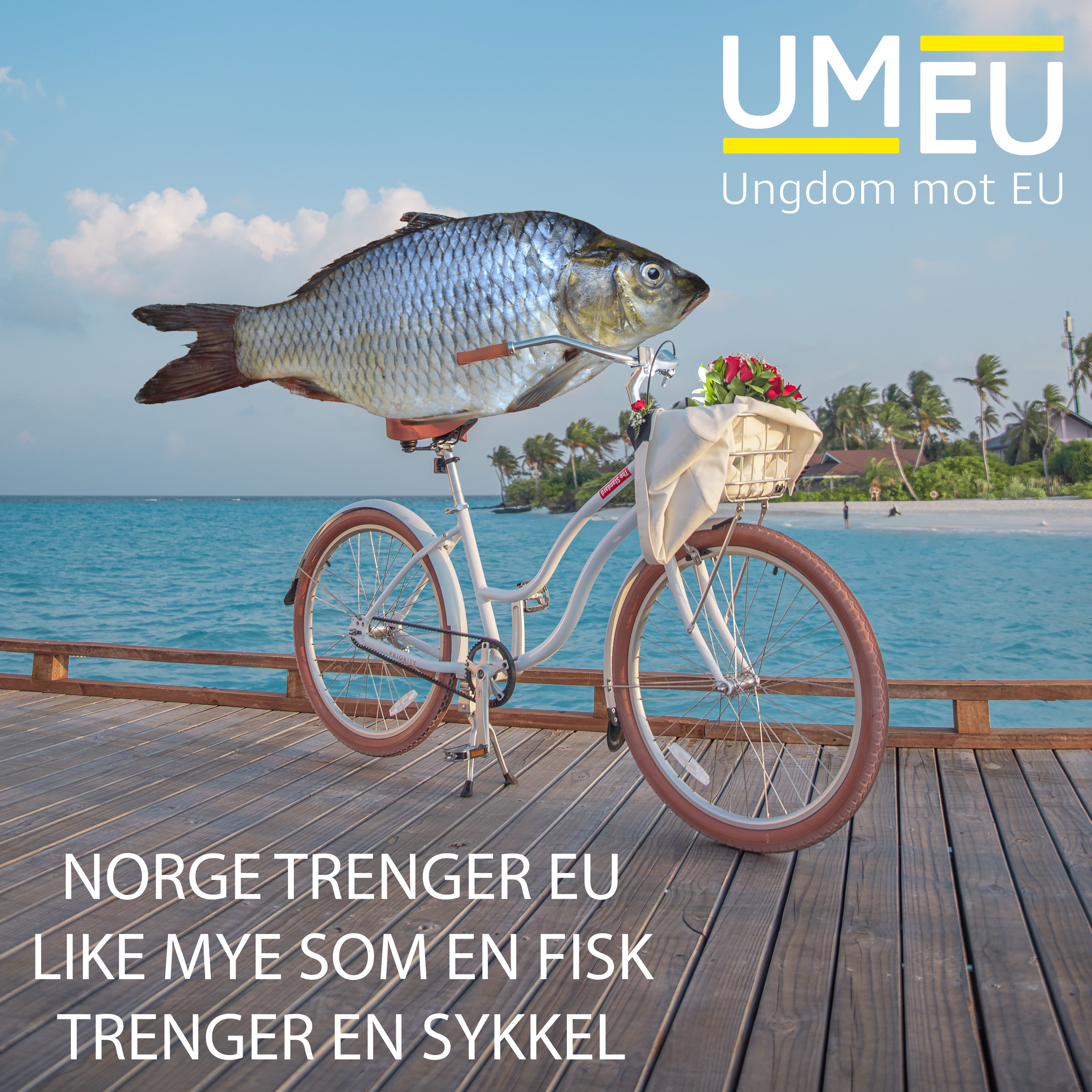 Norge trenger eu like mye som en fisk trenger en sykkel