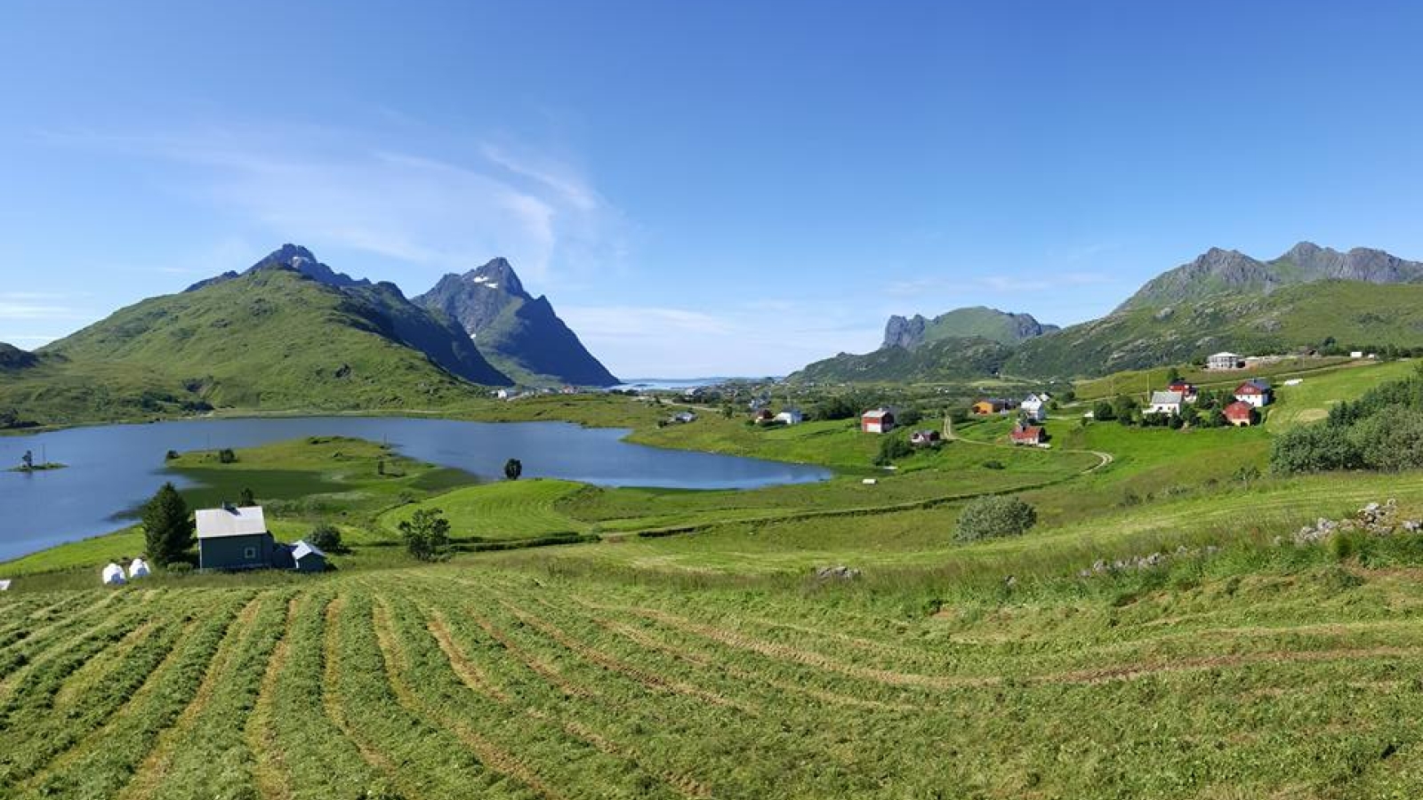 Vi søker deg som er interessert i landbruk og miljø