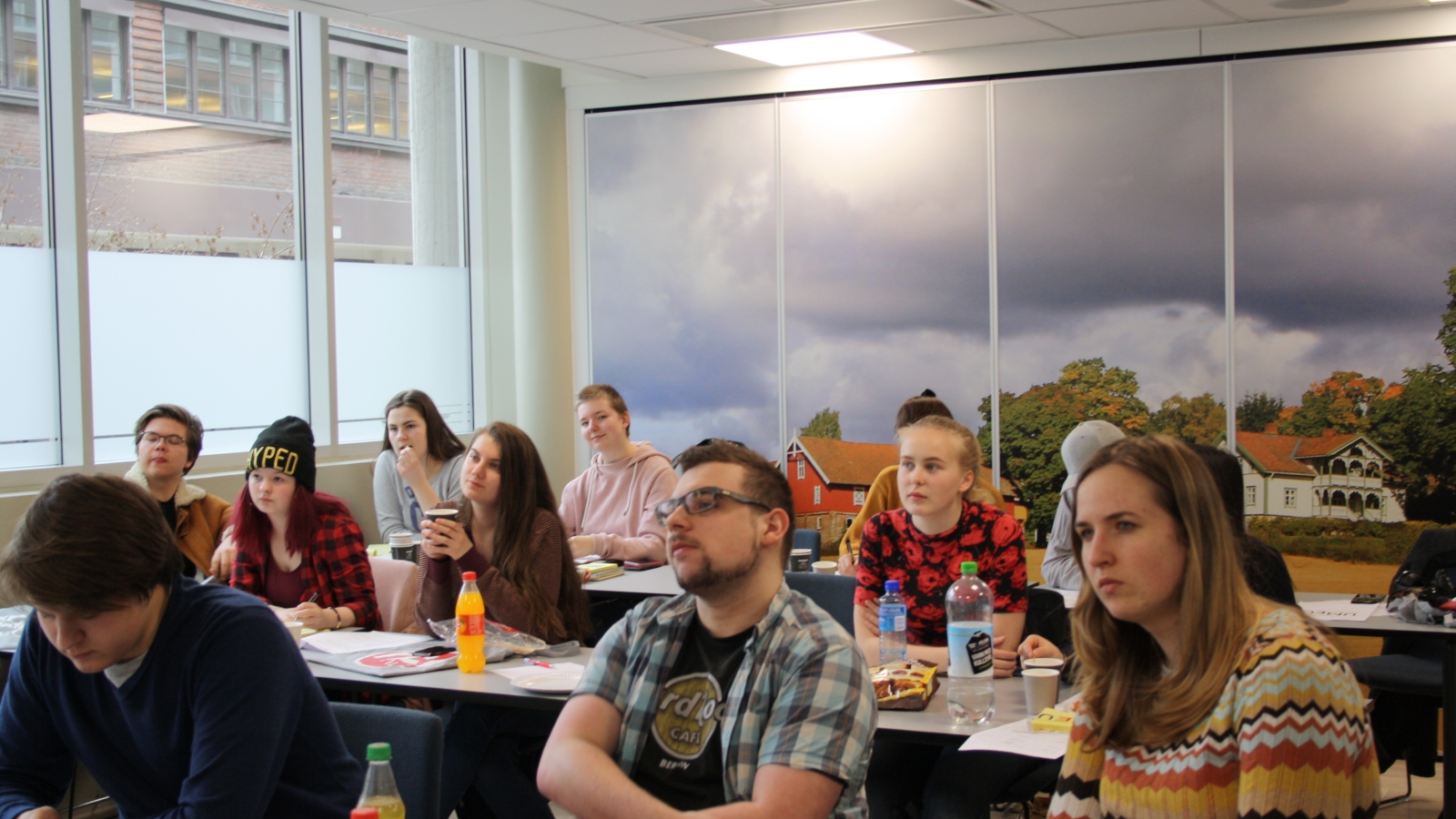 Suksessfull Tillitsvalgtskonferanse samlet over 20 unge EU - motstandere i hovedstaden