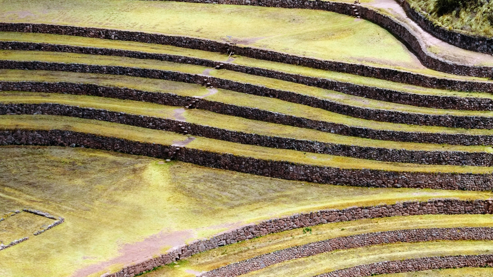 Nederland stemmer ned Mercosur-avtalen